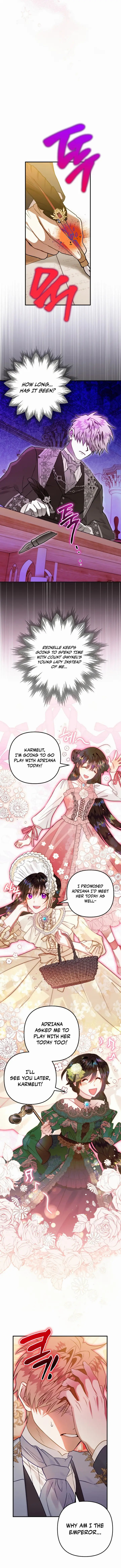 chapter 52 6 1