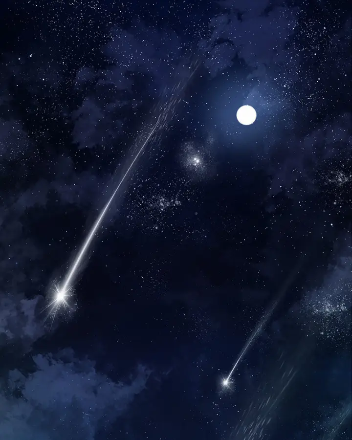 chapter 15 1 1