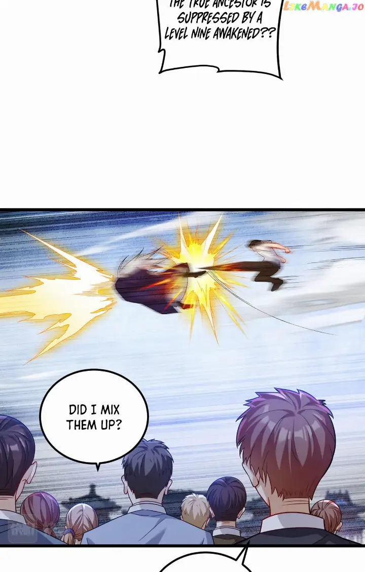 chapter 217 19 1